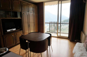 Résidence Vallonpierre B - Studio cabine 4 personnes MAE-2819